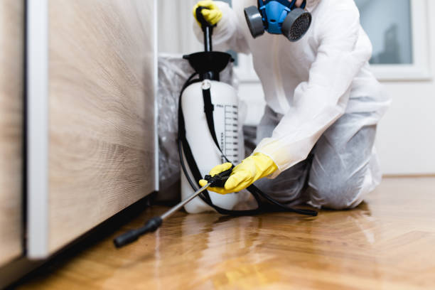 Best Affordable Pest Control Services  in Bright, IN