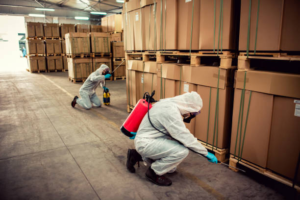 Best Affordable Pest Control Services  in Bright, IN