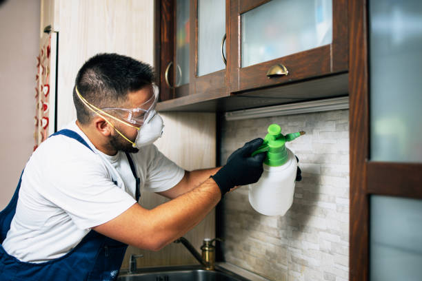 Best Rat Extermination Near Me  in Bright, IN