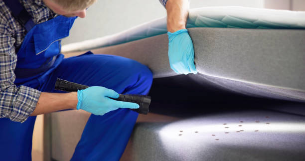 Best Emergency Pest Control  in Bright, IN