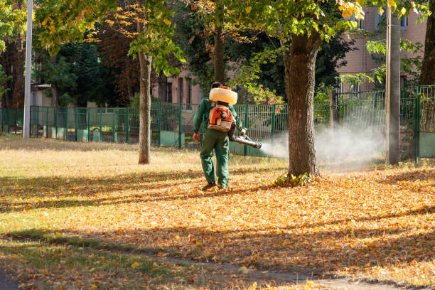 Best Residential Pest Control  in Bright, IN