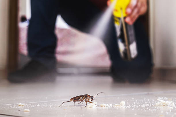 Insect Control in Bright, IN