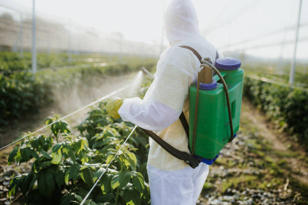 Best Cockroach Control Services  in Bright, IN